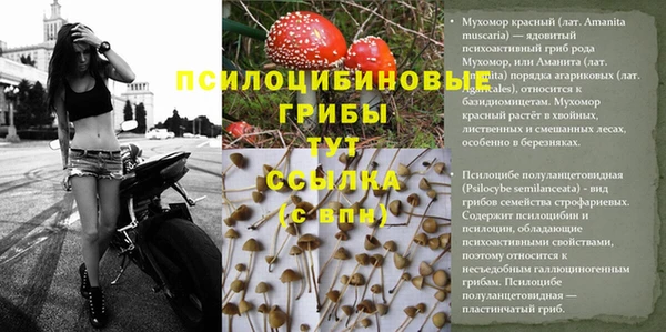 тгк Арсеньев