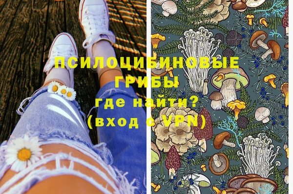 тгк Арсеньев