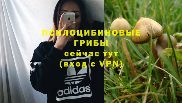 марки lsd Алексин