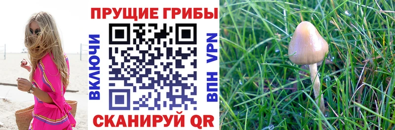 Псилоцибиновые грибы MAGIC MUSHROOMS  ссылка на мегу зеркало  Теберда 